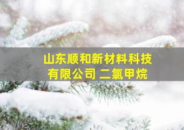 山东顺和新材料科技有限公司 二氯甲烷